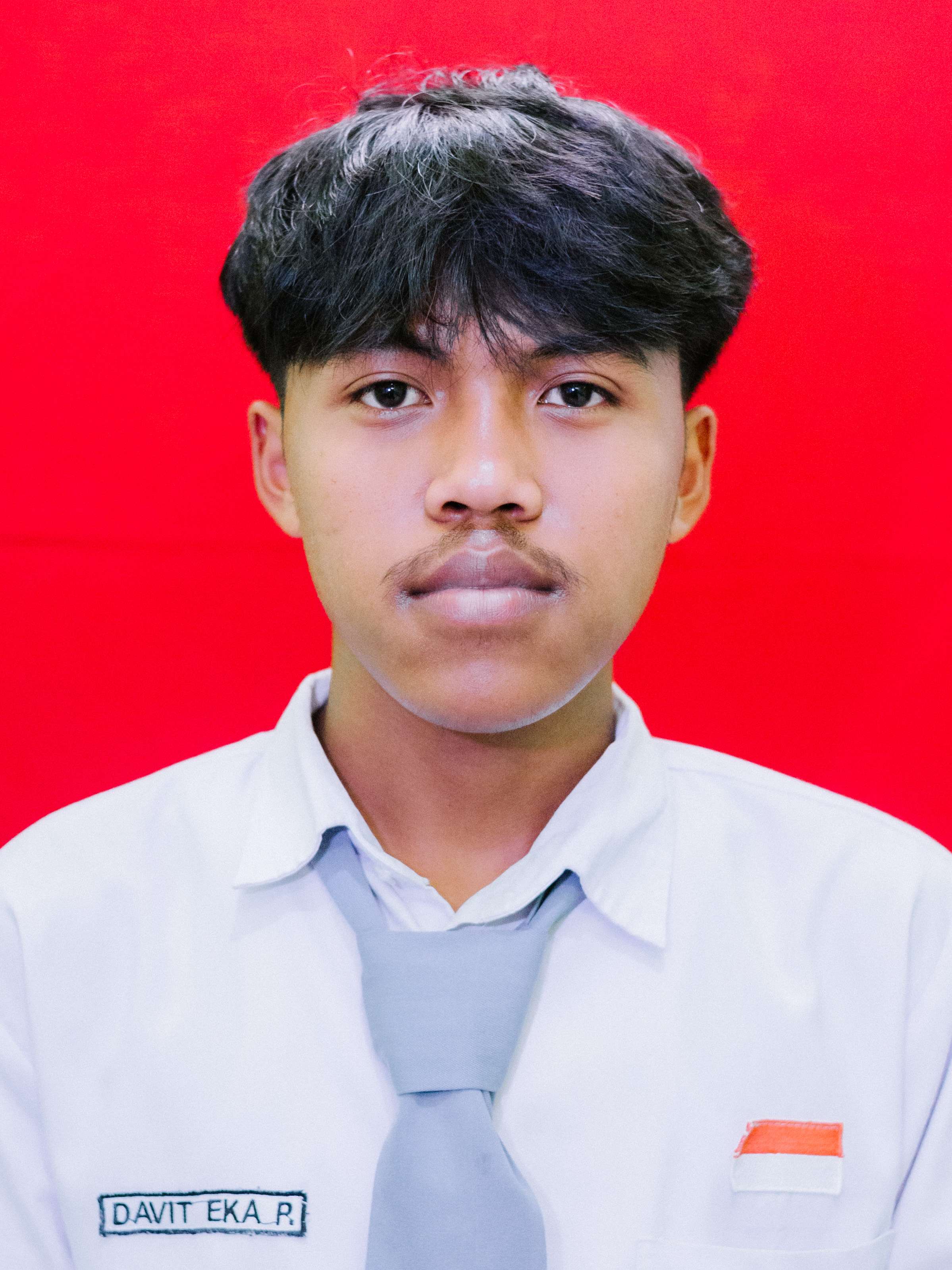 DAVIT EKA PRASETYO